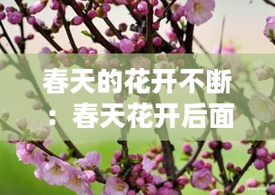 春天的花开不断：春天花开后面一句 