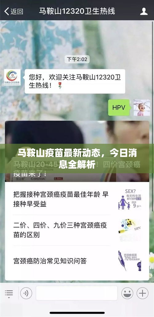 马鞍山疫苗最新动态，今日消息全解析