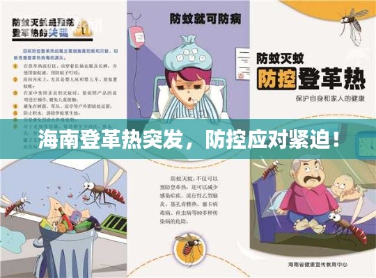 海南登革热突发，防控应对紧迫！