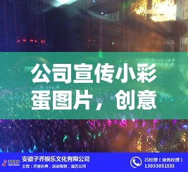 百鸟齐鸣 第2页