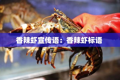 香辣虾宣传语：香辣虾标语 