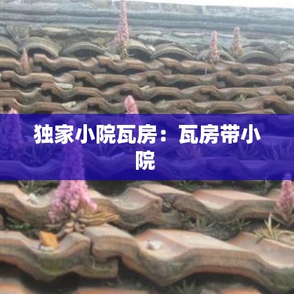 独家小院瓦房：瓦房带小院 