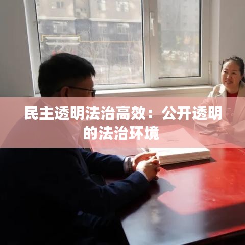 民主透明法治高效：公开透明的法治环境 