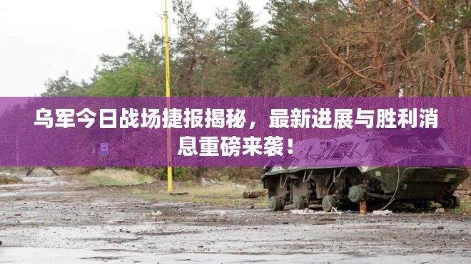 乌军今日战场捷报揭秘，最新进展与胜利消息重磅来袭！
