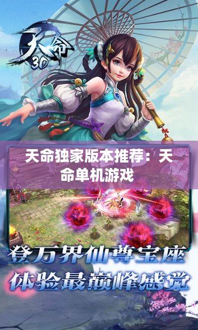 天命独家版本推荐：天命单机游戏 