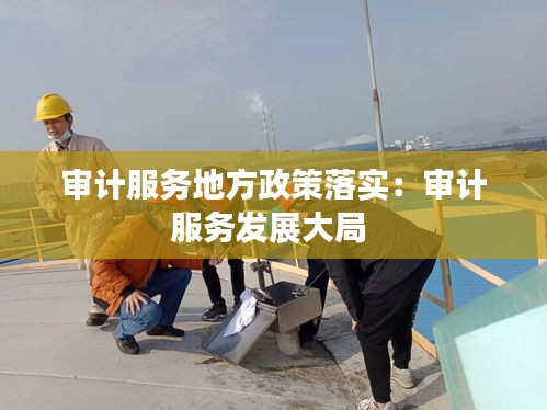 审计服务地方政策落实：审计服务发展大局 