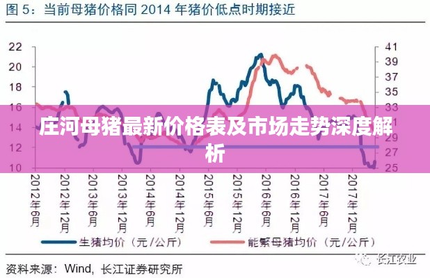 庄河母猪最新价格表及市场走势深度解析