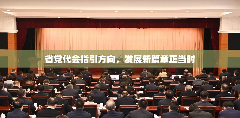 省党代会指引方向，发展新篇章正当时