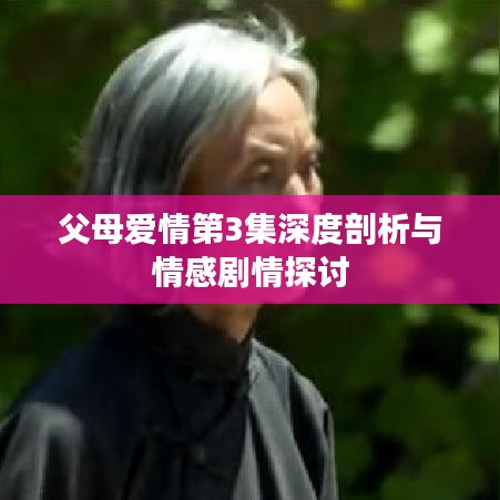 父母爱情第3集深度剖析与情感剧情探讨