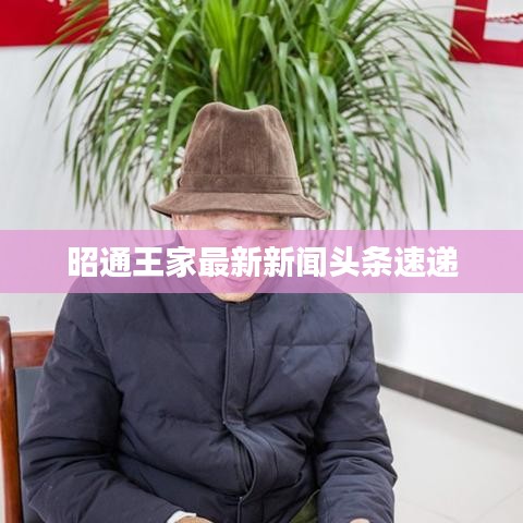 昭通王家最新新闻头条速递