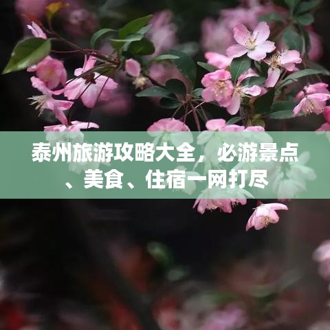 泰州旅游攻略大全，必游景点、美食、住宿一网打尽