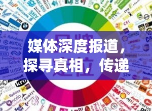 媒体深度报道，探寻真相，传递真实价值的力量