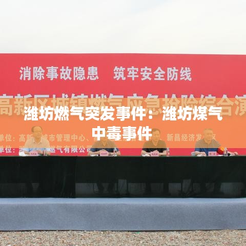 潍坊燃气突发事件：潍坊煤气中毒事件 