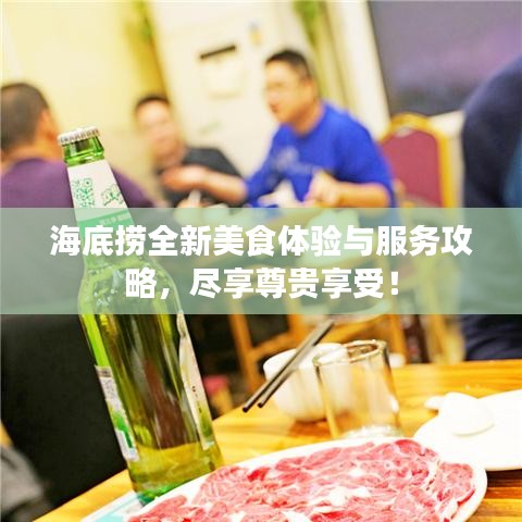海底捞全新美食体验与服务攻略，尽享尊贵享受！