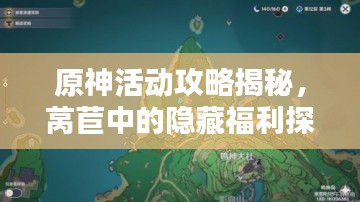 原神活动攻略揭秘，莴苣中的隐藏福利探索