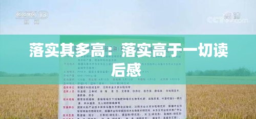 落实其多高：落实高于一切读后感 