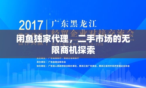 闲鱼独家代理，二手市场的无限商机探索