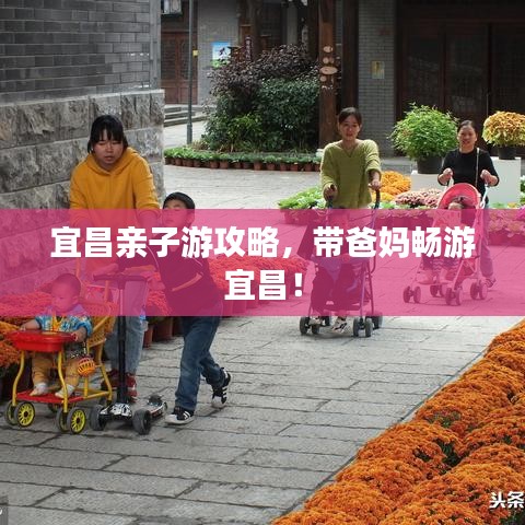 宜昌亲子游攻略，带爸妈畅游宜昌！