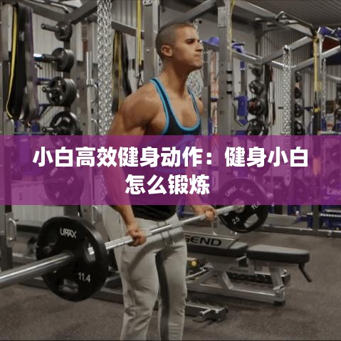 小白高效健身动作：健身小白怎么锻炼 