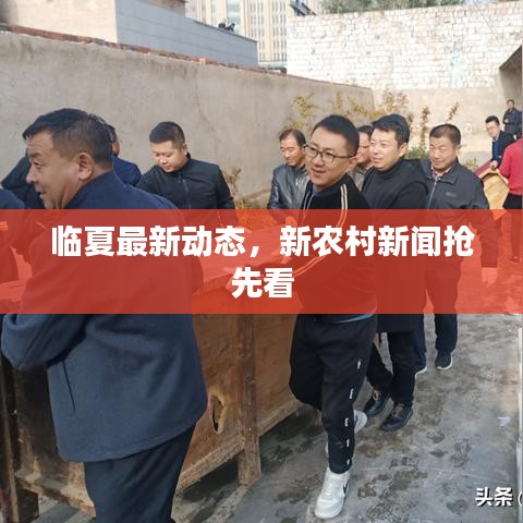 临夏最新动态，新农村新闻抢先看