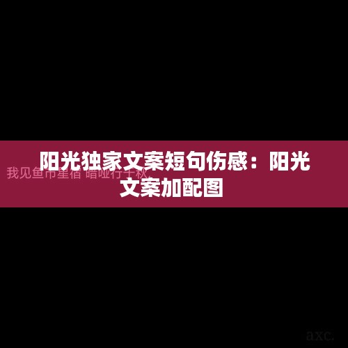 阳光独家文案短句伤感：阳光文案加配图 