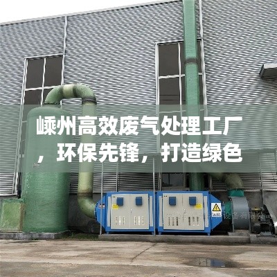 嵊州高效废气处理工厂，环保先锋，打造绿色未来典范