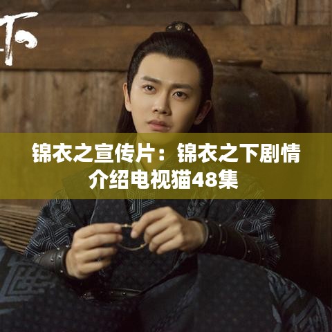 锦衣之宣传片：锦衣之下剧情介绍电视猫48集 