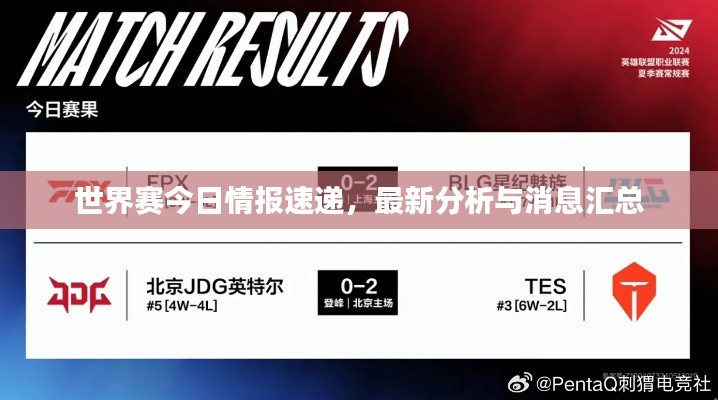 世界赛今日情报速递，最新分析与消息汇总
