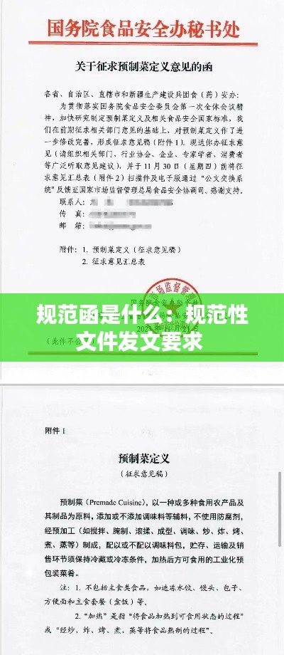 规范函是什么：规范性文件发文要求 