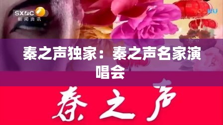 秦之声独家：秦之声名家演唱会 