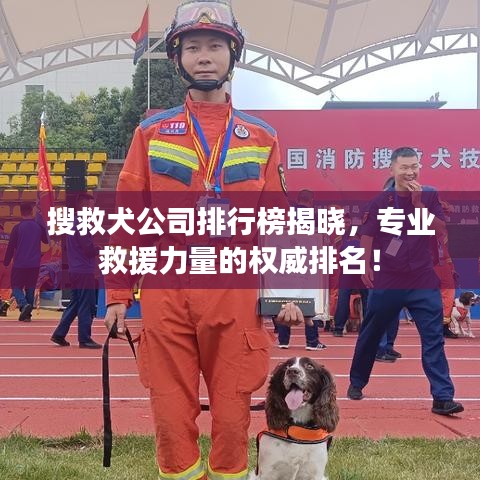 搜救犬公司排行榜揭晓，专业救援力量的权威排名！