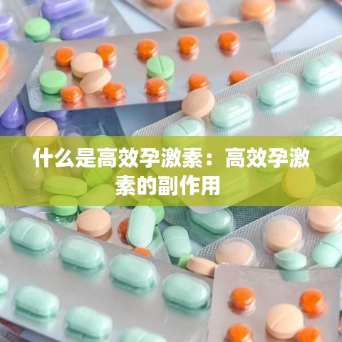 不飞则已 第2页