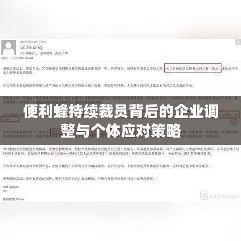 便利蜂持续裁员背后的企业调整与个体应对策略