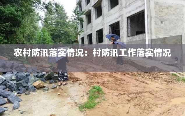 农村防汛落实情况：村防汛工作落实情况 