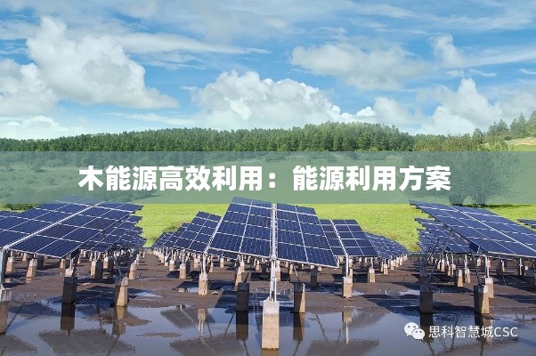 木能源高效利用：能源利用方案 