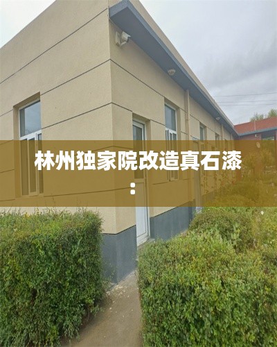 林州独家院改造真石漆： 