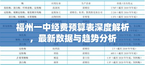 福州一中经费预算表深度解析，最新数据与趋势分析