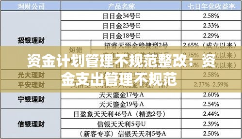 资金计划管理不规范整改：资金支出管理不规范 