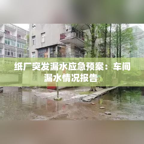 纸厂突发漏水应急预案：车间漏水情况报告 