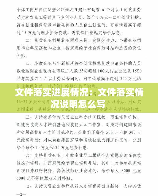 文件落实进展情况：文件落实情况说明怎么写 