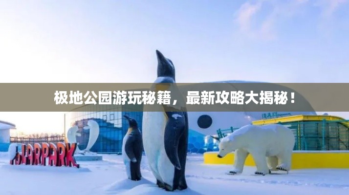 极地公园游玩秘籍，最新攻略大揭秘！