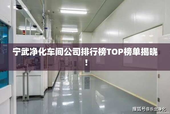 宁武净化车间公司排行榜TOP榜单揭晓！