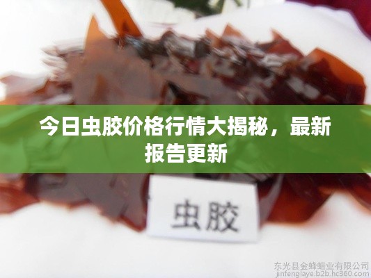 今日虫胶价格行情大揭秘，最新报告更新