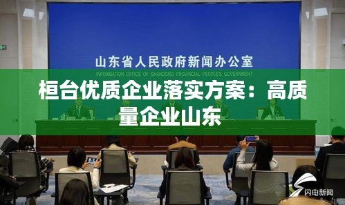 桓台优质企业落实方案：高质量企业山东 