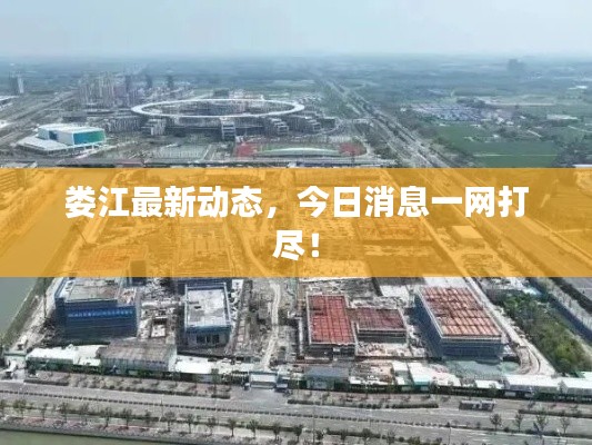 娄江最新动态，今日消息一网打尽！