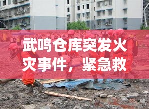 武鸣仓库突发火灾事件，紧急救援行动启动