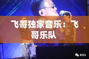 飞哥独家音乐：飞哥乐队 