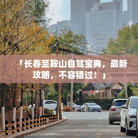 料事如神 第2页
