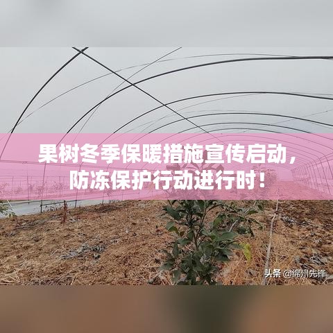 果树冬季保暖措施宣传启动，防冻保护行动进行时！