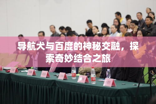 导航犬与百度的神秘交融，探索奇妙结合之旅